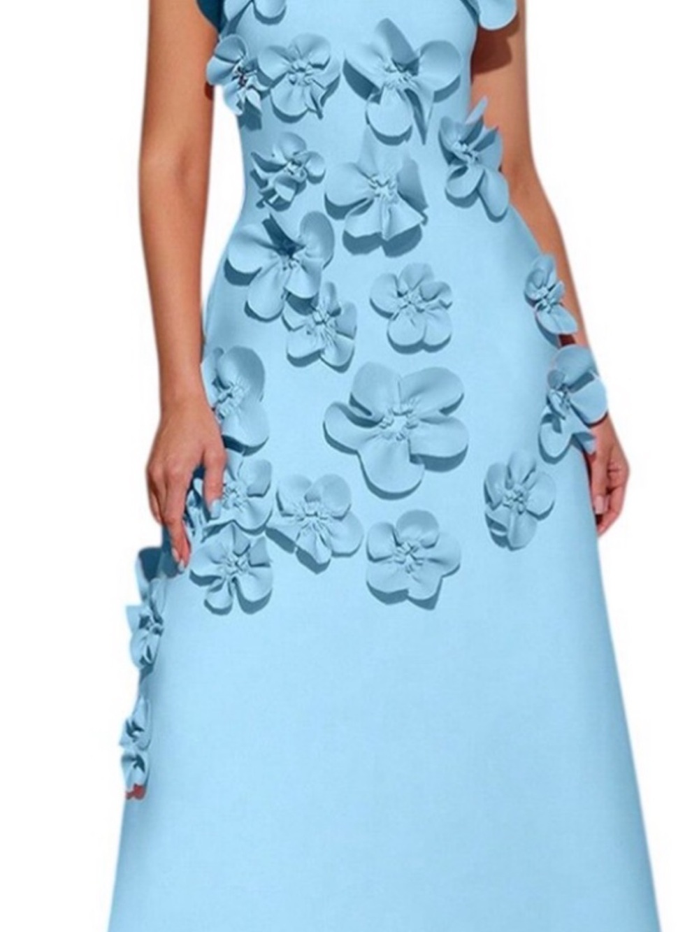 Amina Glam Sky Blue Maxi Dress with 3D Floral Appliqués